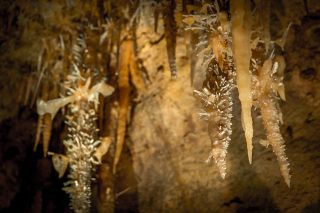 Extincteur de bougie et ras-de-cave - ACACIA DECORS